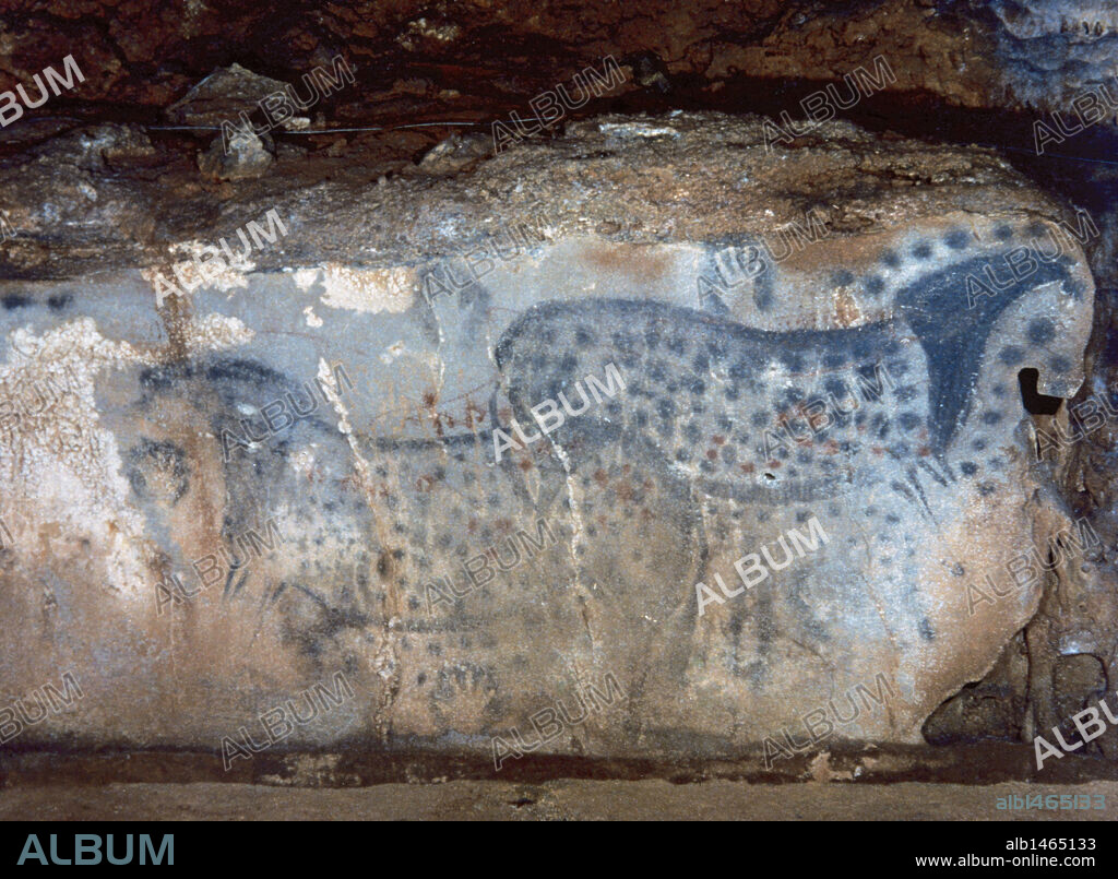 Prehistory. Paleolithic. France. Cabrerets. Pech Merle cave. The dotted horse. His head is drawn in the natural cut of the rock. On his back, a large red fish. Six black hands all around the horses. Black dots inside and outside. Red dots inside. Magdalenian era.