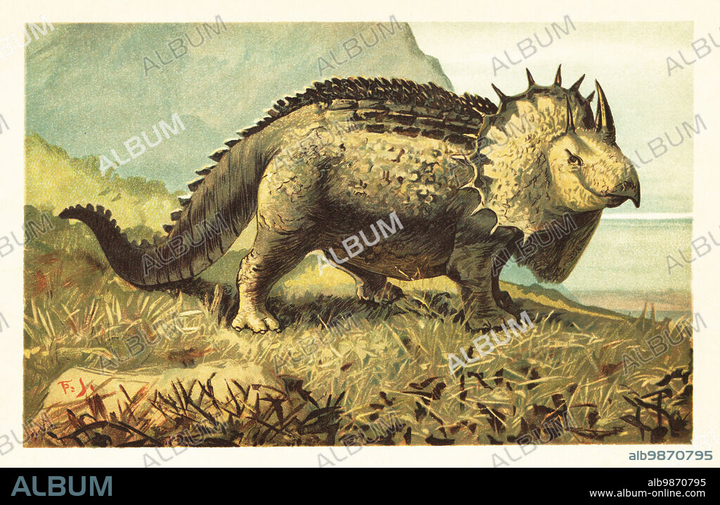 Triceratops prorsus, extinct species of herbivorous dinosaur that lived from the Maastrichtian to the Cretaceous-Paleogene extinction event. Triceratops prorsus Marsh. Colour printed illustration by F. John from Wilhelm Bolsches Tiere der Urwelt (Animals of the Prehistoric World), Reichardt Cocoa company, Hamburg, 1908.