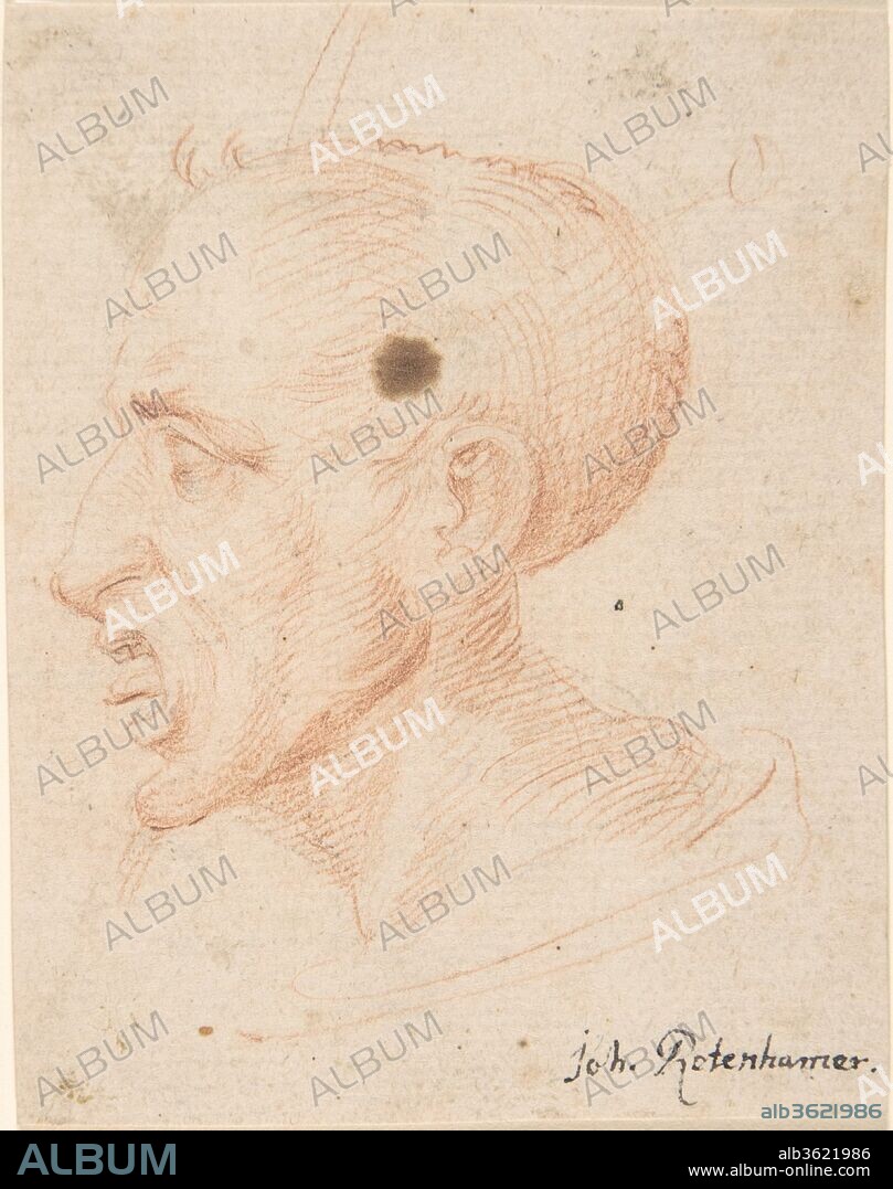 Bust of a Man Looking Left. Artist: Anonymous, 17th century. Dimensions: sheet: 3 5/8 x 2 13/16 in. (9.2 x 7.1 cm). Former Attribution: Formerly attributed to Hans Rottenhammer the Younger (German, 1622-1668 Bamberg). Date: 17th century.