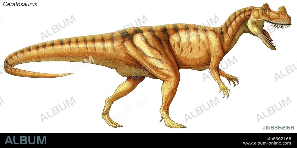 Ceratosaurus