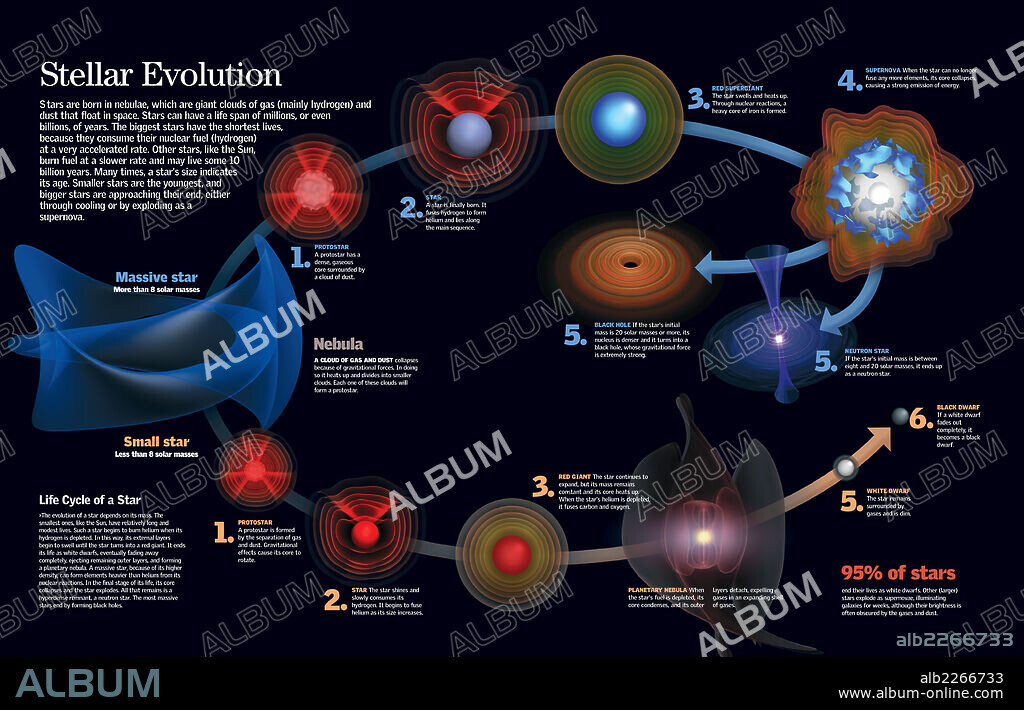 Stellar Evolution. Infographic about the stages of a star evolution, from its origin to its disappearance.