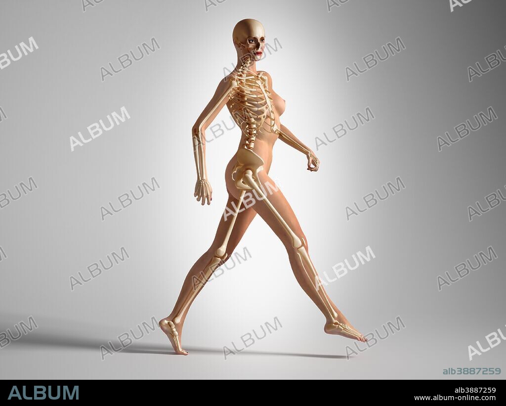 3D rendering of a naked woman walking, with skeletal bones superimposed. -  Album alb3887259