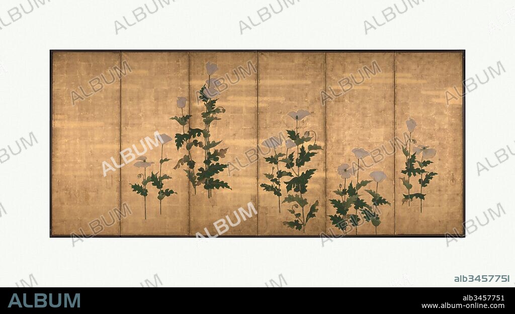 White Poppies on Gold Ground, Edo period (1615–1868), Japan, Six-panel folding screen; color on paper, 67 x 12 ft. 7 in. (170.2 x 383.5 cm), Screens, School of Ogata Korin (Japanese, 1658–1716).