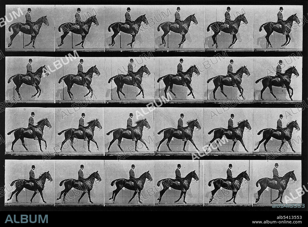 A cantering horse and rider. The more than seven hundred movement studies in Muybridge's Animal Locomotion series range from methodical investigations of the torqued actions of men, women, and a veritable bestiary to compendia of the more banal actions of daily life. Progenitors of filmic technology, Muybridge's sequences, often reconfigured for legibility rather than strict accuracy, were intended both for scientific scrutiny and artistic investigation. Eadweard James Muybridge (April 9, 1830 - May 8, 1904) was an English photographer important for his pioneering work in photographic studies of motion and in motion-picture projection. He published two popular books of his work, Animals in Motion (1899) and The Human Figure in Motion (1901), both of which remain in print over a century later. He died in 1904 at the age of 74.