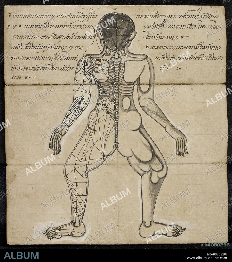 Thai medical diagram showing the pressure points on a Human body. Massage  treatise. Thailand, 1800 - 1850. Paper folding book (samut khoi).  Dimensions: 355 mm x 127 mm. Sc - Album alb4080296