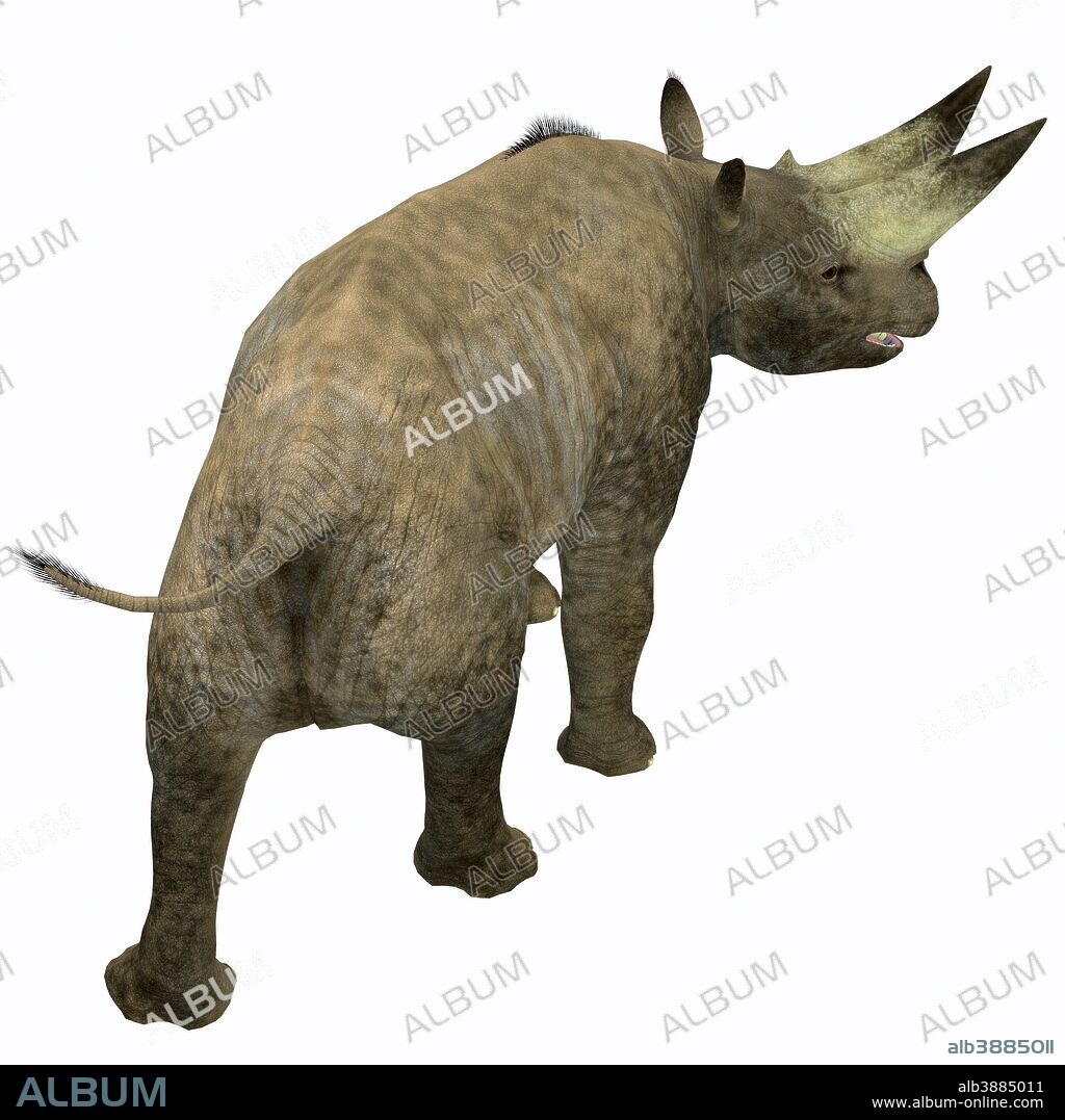 Arsinoitherium mammal, rear view. Arsinoitherium was a herbivorous rhinoceros-like mammal that lived in Africa during the Early Oligocene Period.