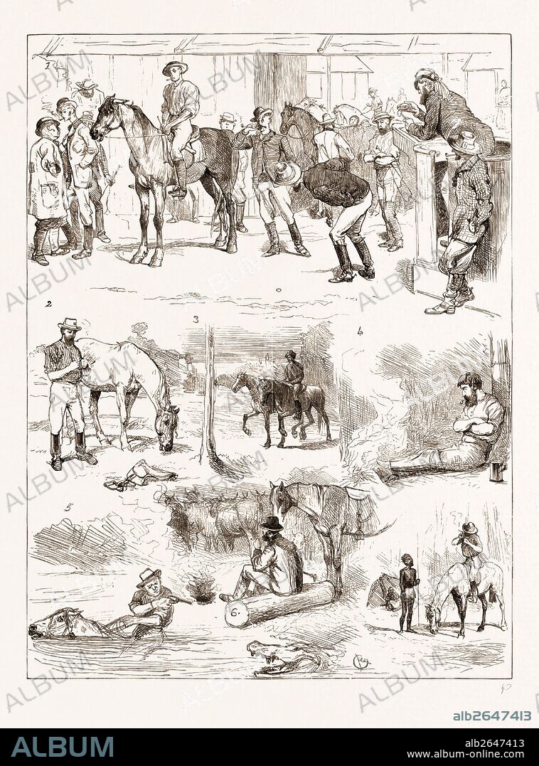 SCENES OF AUSTRALIAN LIFE, 1876: 1. Horse Sale, Rockhampton, Queensland. 2. Hobbling a Horse: Arrival in Camp. 3. In the Bush: En Route. 4. Camping Out Alone: at an Alligator. 6. "Droving:" Watching Cattle at Night. 7. "Give us a Light, Jemmy.".