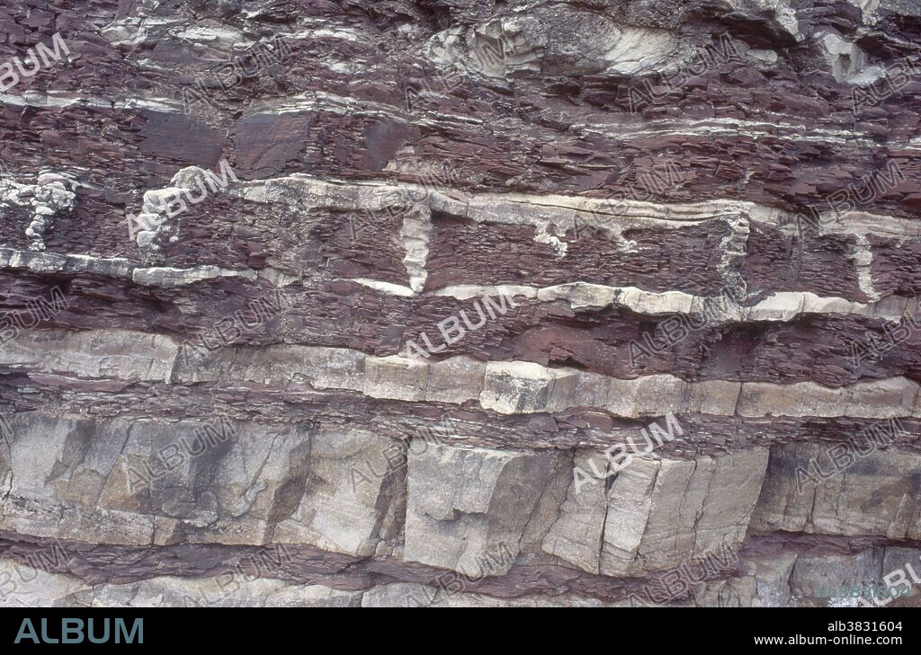 Ordovician Sedimentary Strata - Album alb3831604