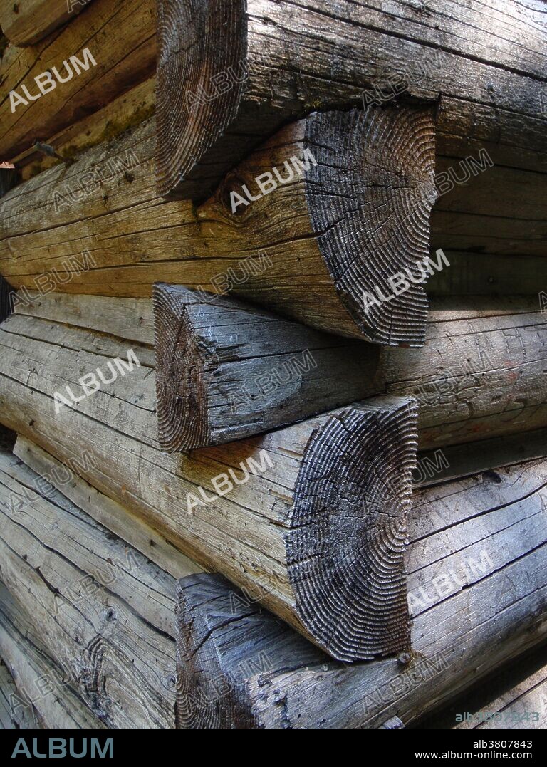 Corner joints of a log cabin from the 1800s in North Cascades National Park, WA.