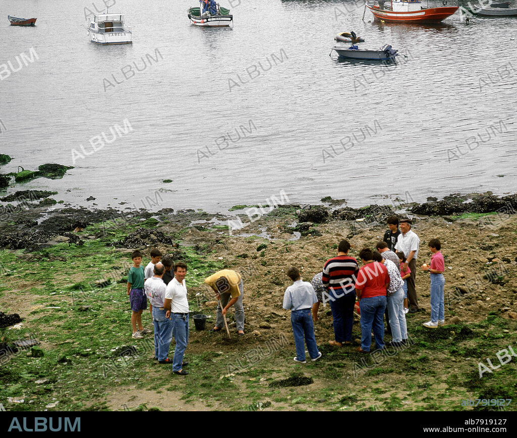 RIA CON BARCAS PESQUERAS Y GENTE COGIENDO MARISCO EN BAJAMAR - FOTO AÑOS 90  - Album alb7919127