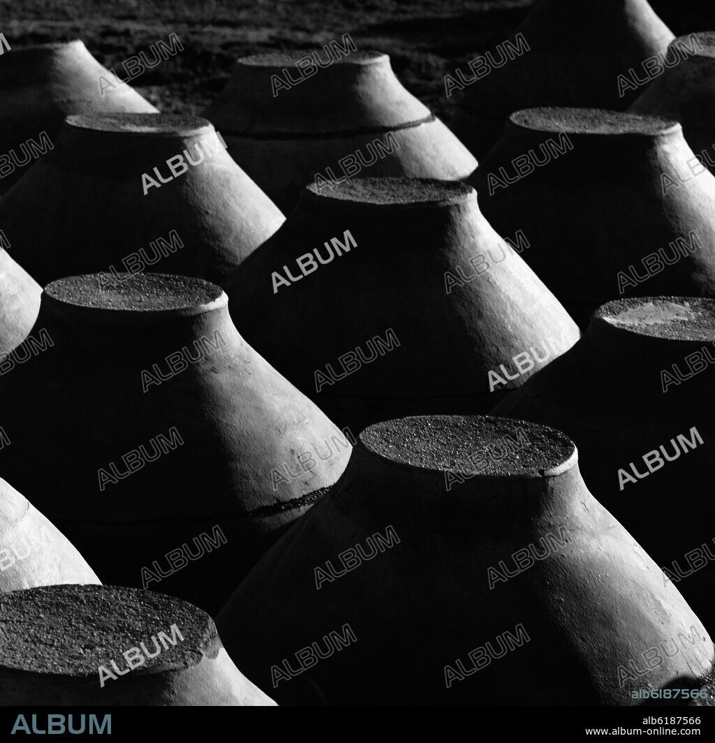 TINAJAS PUESTAS BOCA ABAJO - FOTOGRAFIA EN BLANCO Y NEGRO - AÑOS 60.