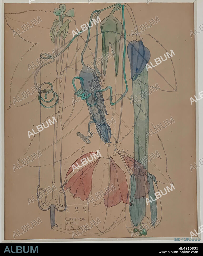 Charles Rennie Mackintosh, Tacsonia, Charles Rennie Mackintosh (British, Glasgow, Scotland 18681928 London), 1908, Graphite and watercolor on tan paper, 15 3/8 × 13 3/8 in. (39.1 × 34 cm), Drawings.