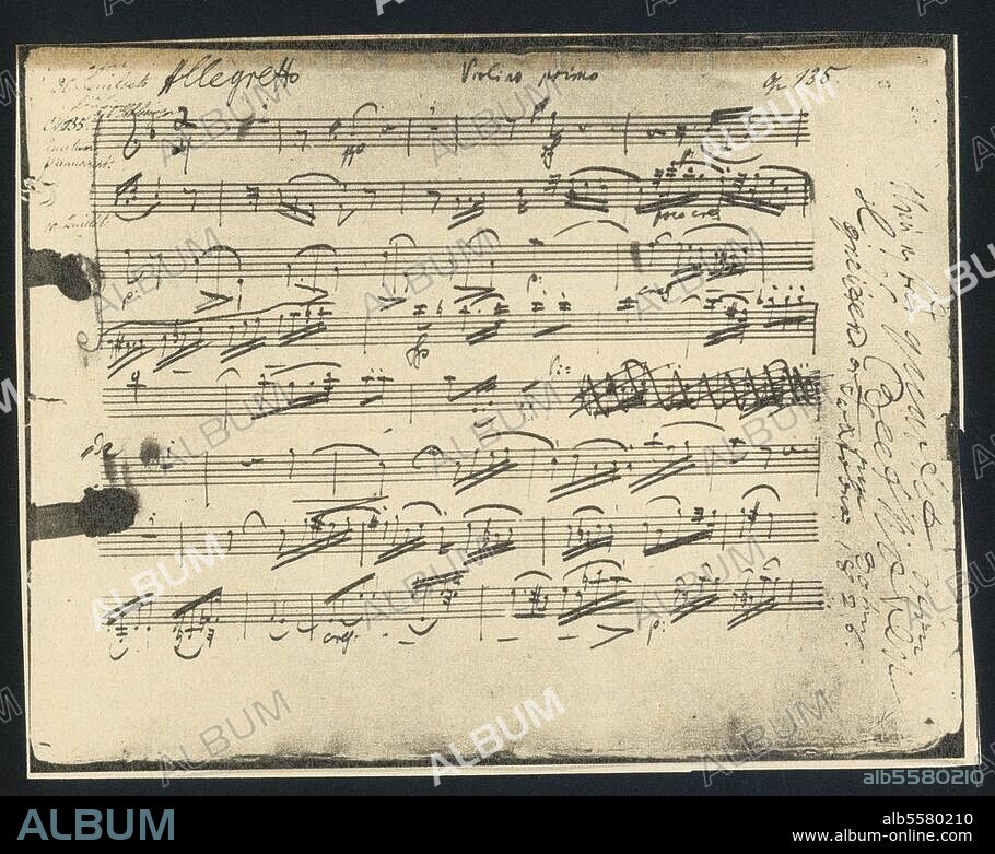 Beethoven / String Quartet op. 135 / Score - Album alb5580210