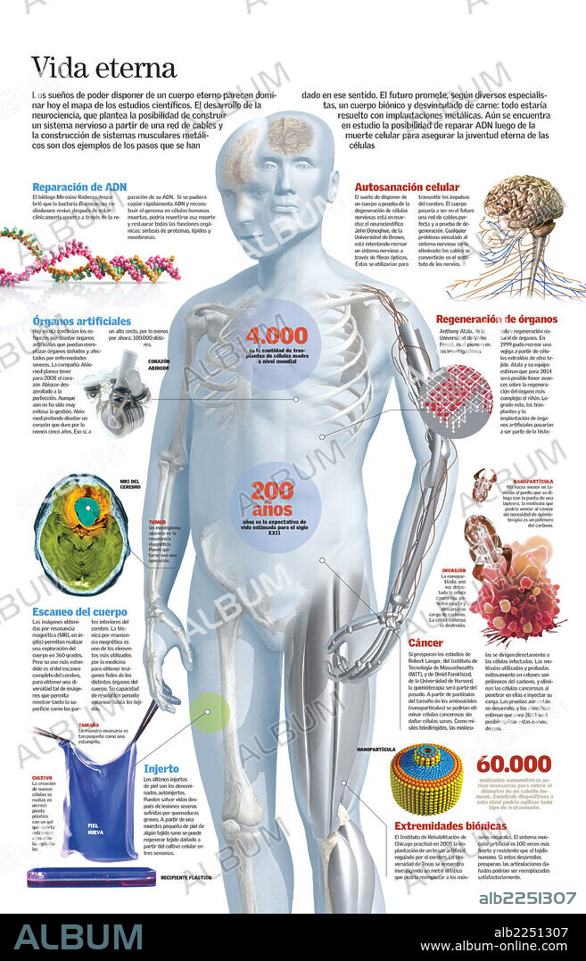 VIDA ETERNA. Infografía de los avances científicos en el área médica como la biónica, la ingeniería genética, los órganos artificiales y la regeneración de los órganos, tejidos y células.