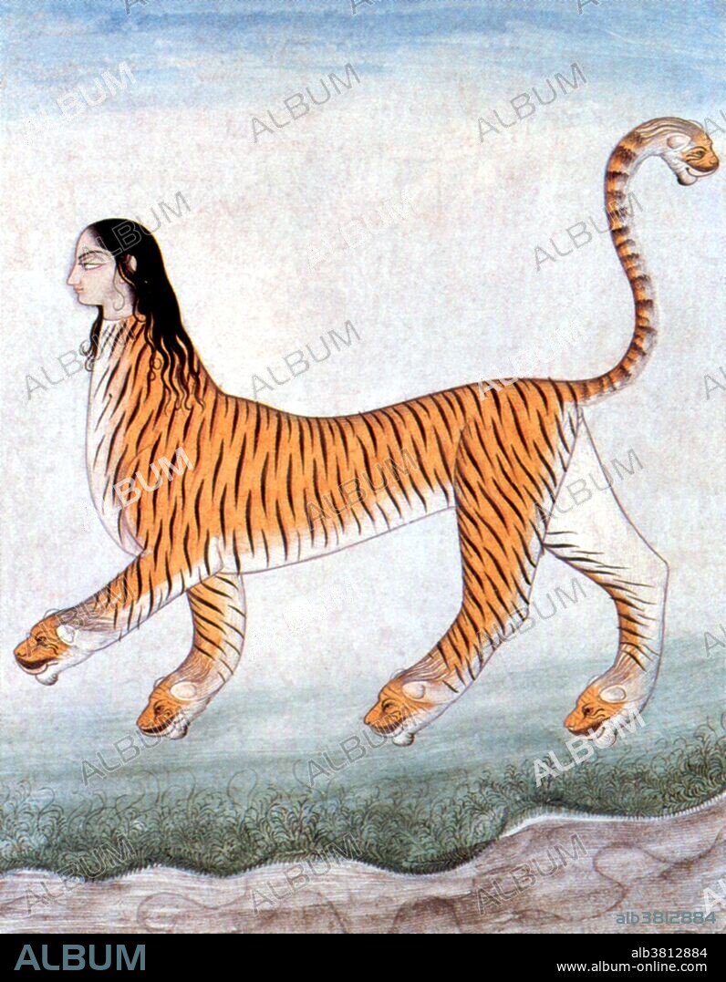 Undated 19th century painting of the legendary Indian chimera, her paws and tail capped with ravening heads.The Chimera was a monstrous fire-breathing female and male creature of Lycia in Asia Minor, composed of the parts of three animals. Usually depicted as a lion, with the head of a goat arising from its back, and a tail that ended in a snake's head, the Chimera was one of the offspring of Typhon and Echidna and a sibling of such monsters as Cerberus and the Lernaean Hydra. The term chimera has come to describe any mythical or fictional animal with parts taken from various animals, or to describe anything perceived as wildly imaginative or implausible.