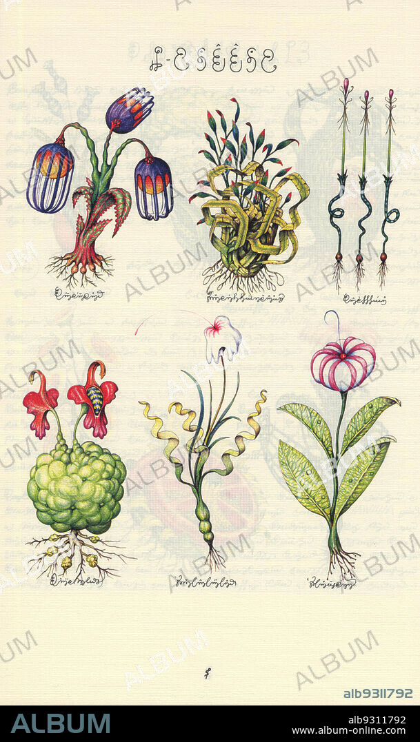 Codex Seraphinianus: A Strange Book About a Strange World