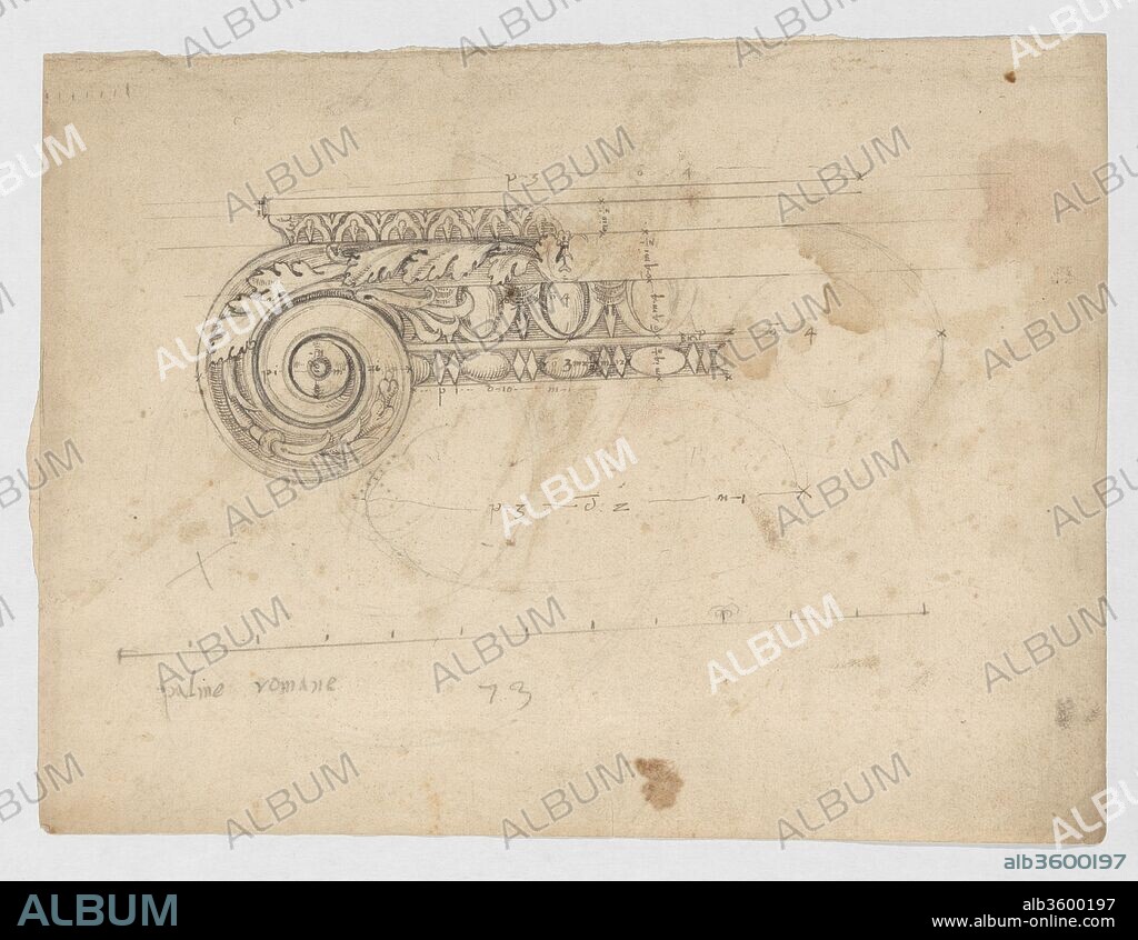 S. Maria in Trastevere, Ionic capital, volute, side elevation (recto) Unidentified, Ionic capital volute, construction diagram (verso). Dimensions: sheet: 8 3/4 x 11 9/16 in. (22.2 x 29.3 cm). Draftsman: Drawn by Anonymous, French, 16th century. Series/Portfolio: Goldschmidt Scrapbook. Date: early to mid-16th century.