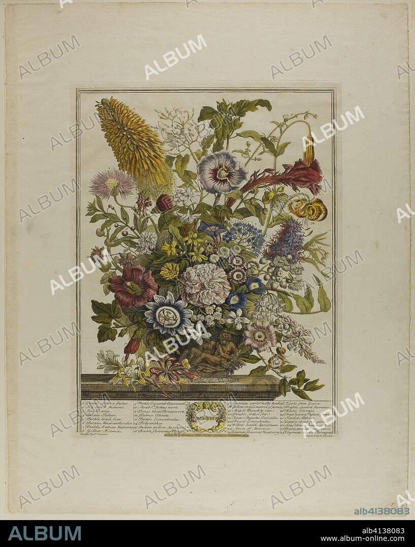 August, from Twelve Months of Flowers. Henry Fletcher (English, 1710-1750); after Peter Casteels III (Flemish, 1684-1749). Date: 1730-1750. Dimensions: 405 × 305 mm (image); 600 × 465 mm (sheet). Hand-colored etching on paper. Origin: England.