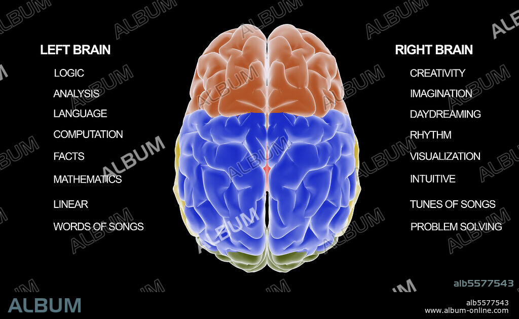 Medical diagram illustrating how the left side of the brain works compared to the right side of the brain.