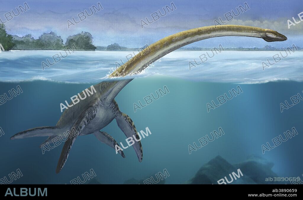 The high quality Elasmosaurus