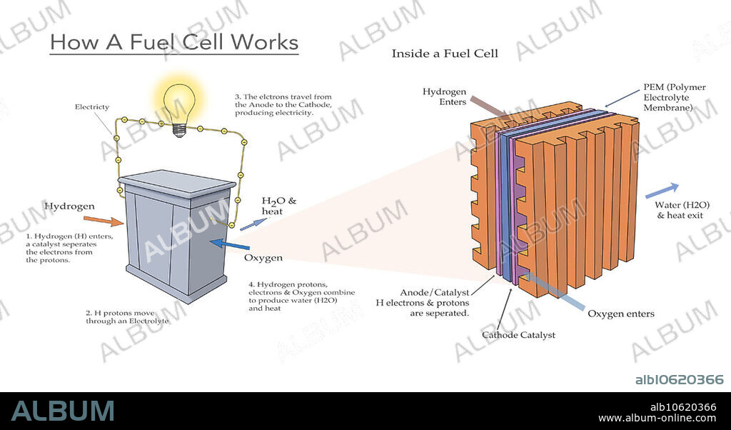 Diagram illustrating how a fuel cell takes in hydrogen and oxygen and produces electricity, with water and heat as byproducts. At left the external fuel cell is depicted, and at right is the internal cell. Hydrogen enters the cell, a catalyst separates the electrons from the protons. Hydrogen protons move through an electrolyte. The electrons travel from the anode to the cathode producing electricity. Hydrogen protons, electrons and oxygen combine to produce water and heat.