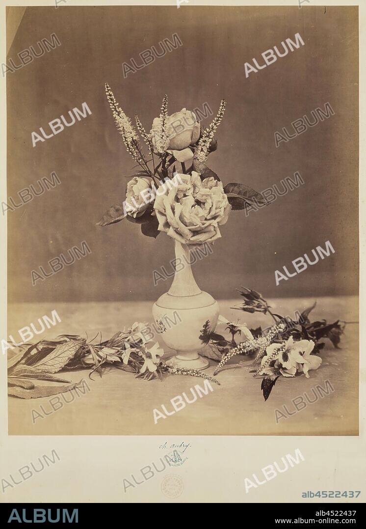 Charles Aubry, French, 1811-1877, Still Life with Flowers and Vase, ca. 1864, albumen print, Image: 18 1/8 × 14 7/8 inches (46 × 37.8 cm).