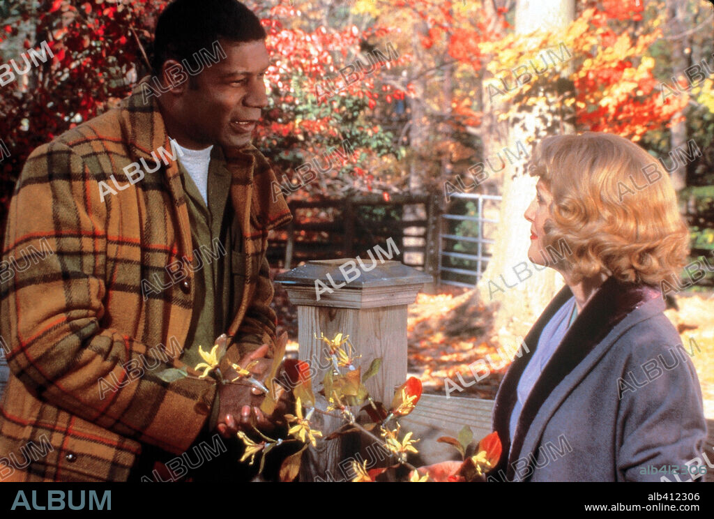 DENNIS HAYSBERT and JULIANNE MOORE in FAR FROM HEAVEN 2002