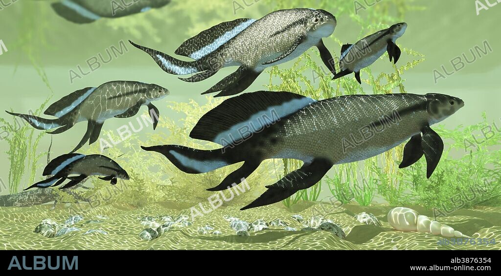 A group of prehistoric Scaumenacia lobe-finned fish from Quebec, Canada in the Devonian period.