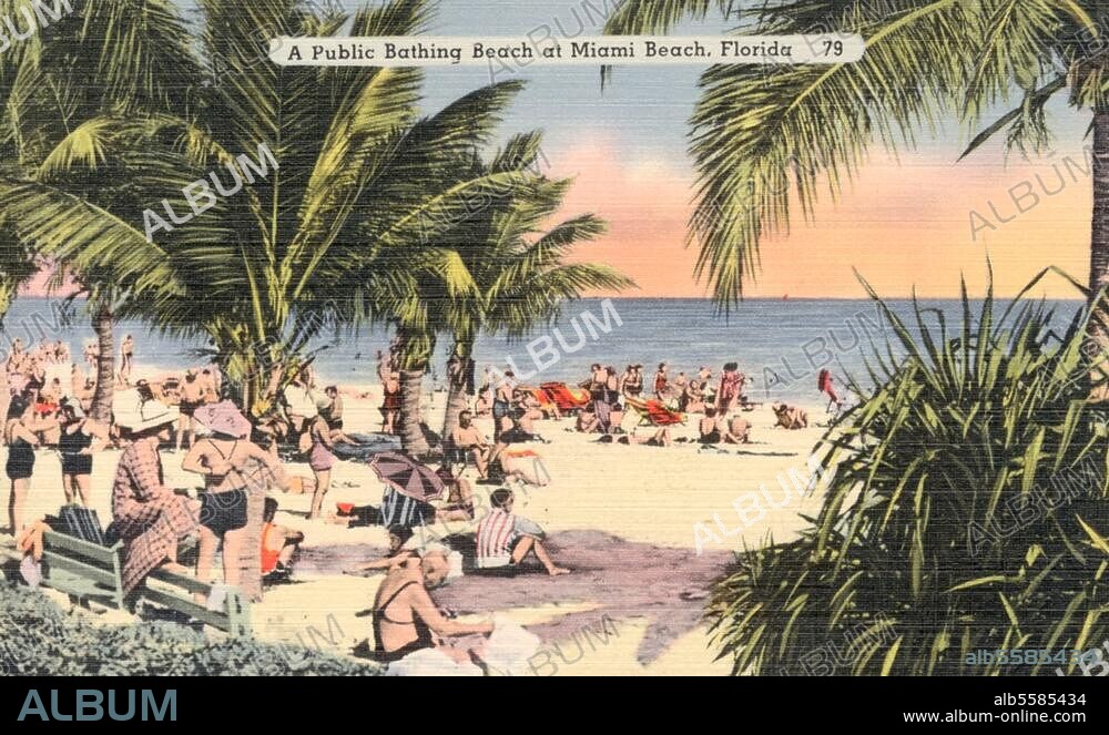 Postcard - Hello from Miami Beach, Florida