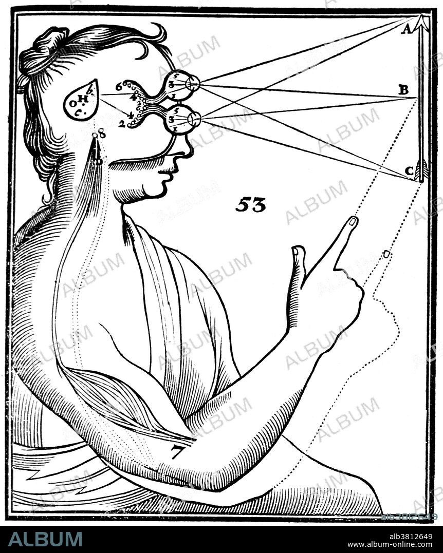 Woodcut of eyes on a human figure, represented above each other and focused on an arrow at right; lines extend from the eyes to the mid and terminal points of the arrow; also shown is portion of the brain responsible for automatic response. Appeared in Tractatus de homine, et de formatione foetus by Descartes, (1677) showing the relationship between the sensory perception of an image and muscular action. RenÃ© Descartes (March 31, 1596 - February 11, 1650) was a French mathematician, philosopher and physiologist. Living on his modest inherited wealth, Descartes traveled, studied, wrote, and served as a soldier in Holland, Bohemia and Hungary. He created analytical geometry, which translates geometrical problems into algebraic form so that algebraic methods can be applied to their solution. Conversely he applied geometry to algebra. He propounded Cartesian dualism, stating that mind and matter are two distinct substances which can interact. He believed that god is the prime mover of matter, and that everything has a cause. Descartes died in 1650, at the age of 53, soon after becoming tutor to queen Christina of Sweden. The cause of death was said to be pneumonia.