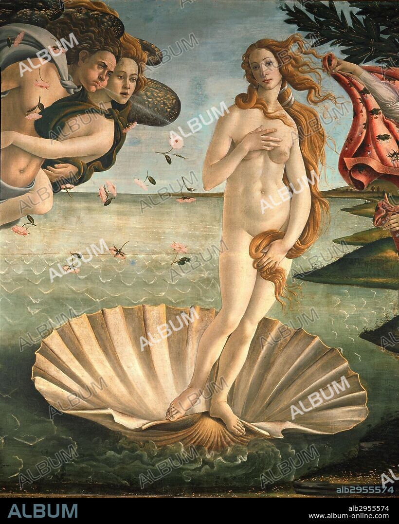 SANDRO BOTTICELLI. The Birth of Venus, 1478. Detail of the Birth of Venus  in scallop shell. - Album alb2955574