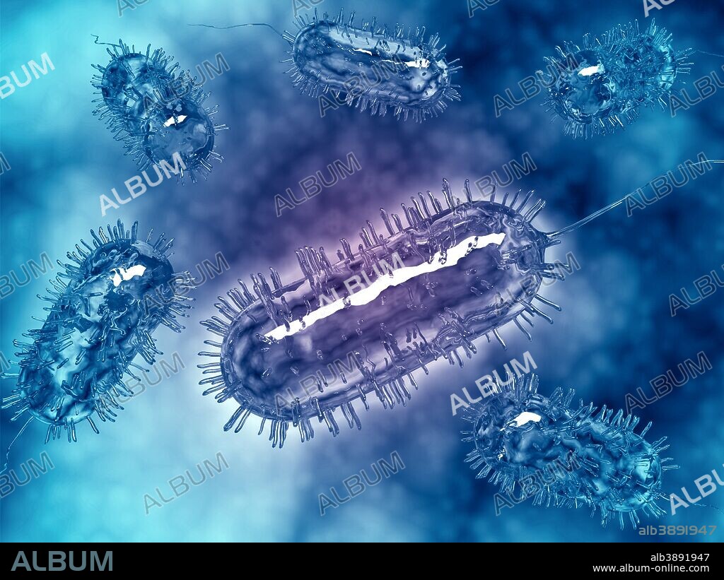 Group of Escherichia coli bacteria cells, commonly known as E. Coli. E. coli is a common type of bacteria that can get into food, like beef and vegetables.