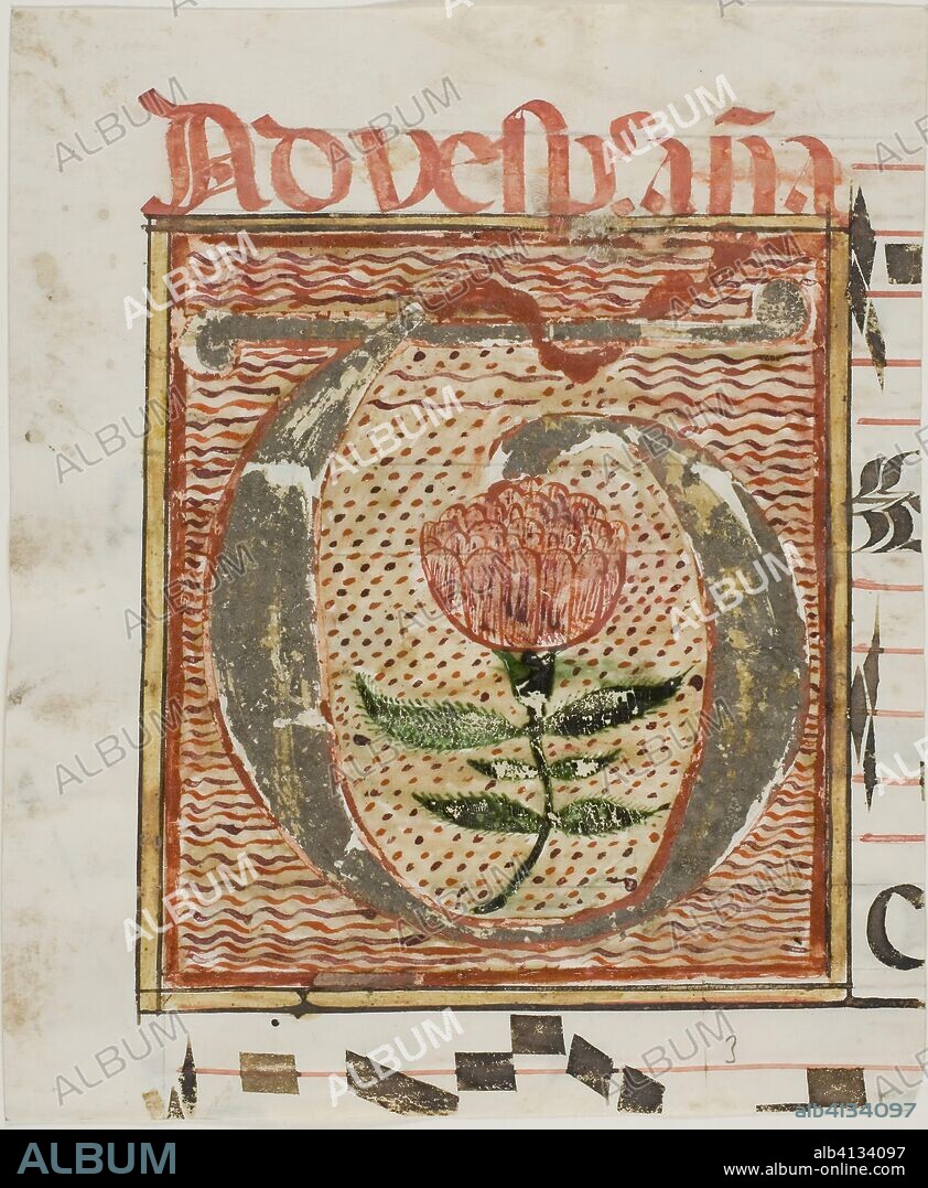 Decorated Initial 