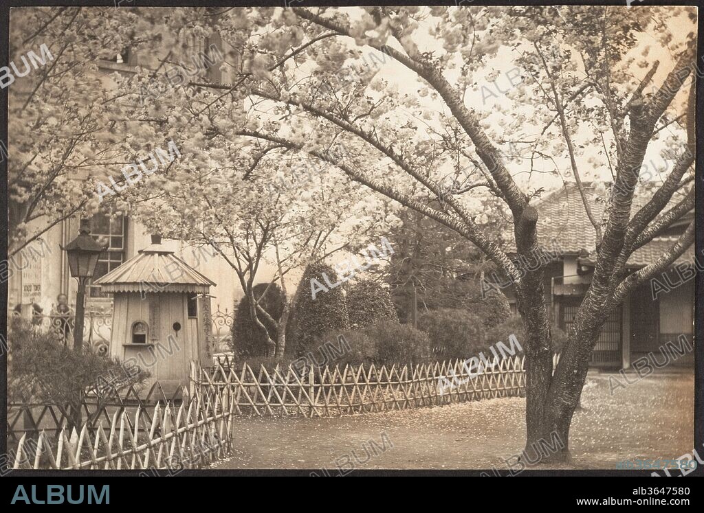 [Garden with Bamboo Fencing at Atago Tower, Tokyo, Japan]. Artist: Adolf de Meyer (American (born France), Paris 1868-1946 Los Angeles, California). Dimensions: 13.7 x 20.2 cm. (5  3/8  x 7  15/16  in.). Date: 1900.