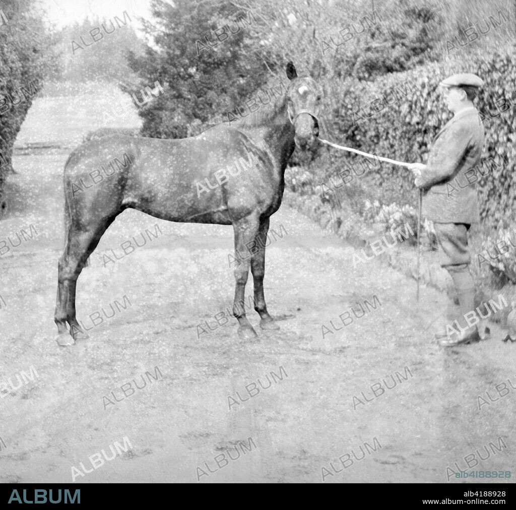 General Seely's Warrior, April 1922. Foaled in 1908 on the Isle of Wight, Warrior went to war on the Western Front with General Jack Seely, in 1914. He was active in many famous battles including those at the Somme and Ypres. Returning with Jack Seely to the Isle of Wight in 1918, he lived on until the grand old age of 33, even winning a point to point four years to the day that he had led the charge at Moreuil Wood. His obituary in the Evening Standard in 1941 read ?Horse the Germans Could Not Kill?. In  2014, 100 years after Warrior went to war on the Western Front, he was awarded the PDSA Dickin medal, recognised at the animals Victoria Cross and honouring all the animals that served in the Great War.