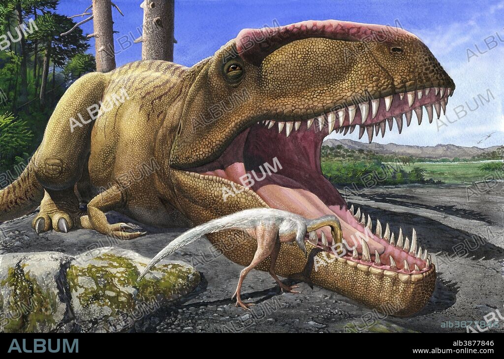 An Alvarezsaurid bird cleans the mouth of a Giganotosaurus carolinii dinosaur.