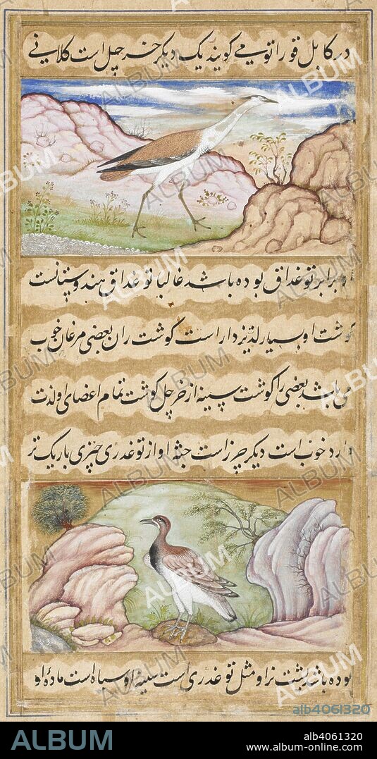 (above). Indian bustard â€˜(eupodatis edwardsii)â€™ (Mansur Naqqash).  (below). Florican â€˜(sypheotis bengalensis)â€™ (Mansur Naqqash). Vaki'at-i Baburi, the Memoirs of Babur, translated from the Turki original by Mirza 'Abd al-Rahim, Khan-i khanan. One hundred and forty-three miniatures (mostly with attributions). c.1590. Opaque watercolour. Mughal style; Mughal/Akbar style. Source: Or. 3714 Vol.4 f.389.