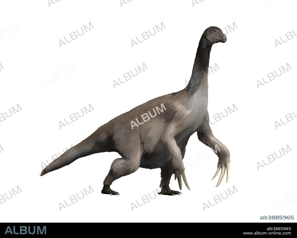 Therizinosaurus is a large theropod dinosaur from the Late Cretaceous period.