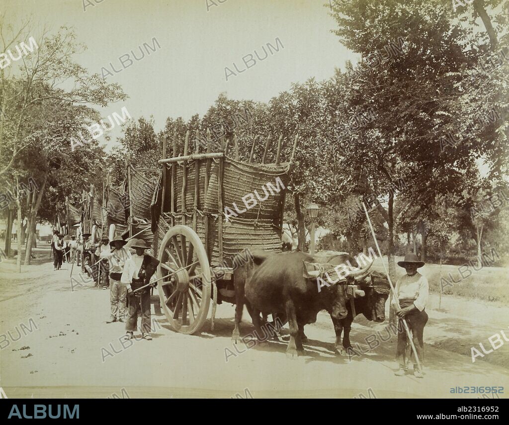 Sevilla caravana de carretas. Album alb2316952