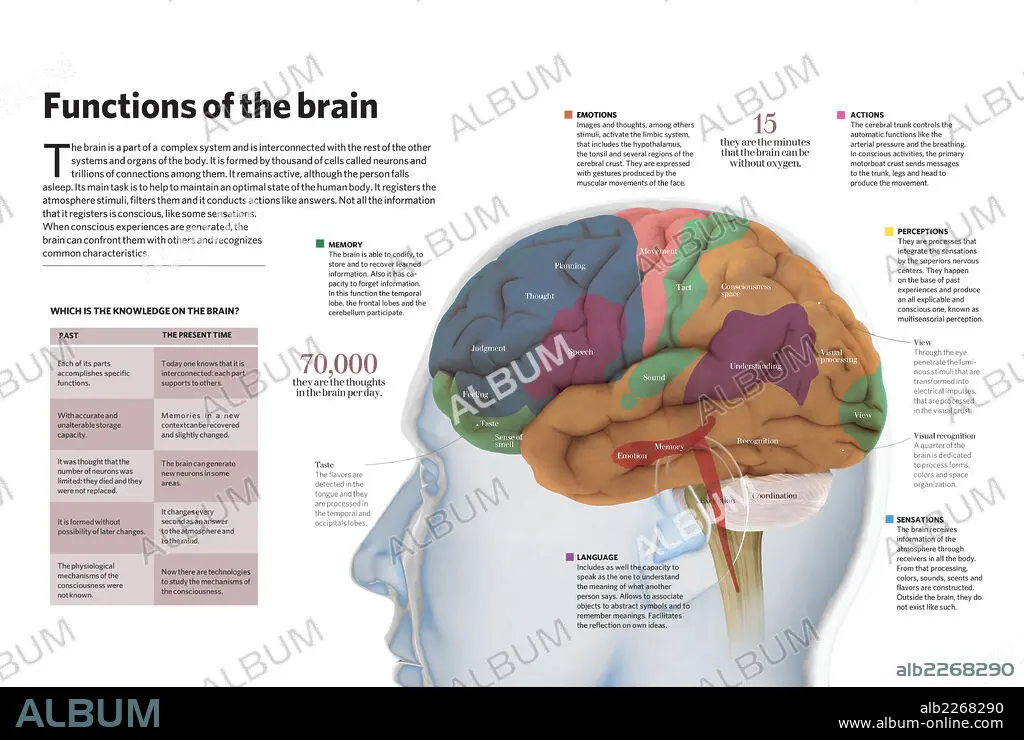 送料無料/新品】 脳機能入門 = A Glimpse of Brain Functions : … 健康 