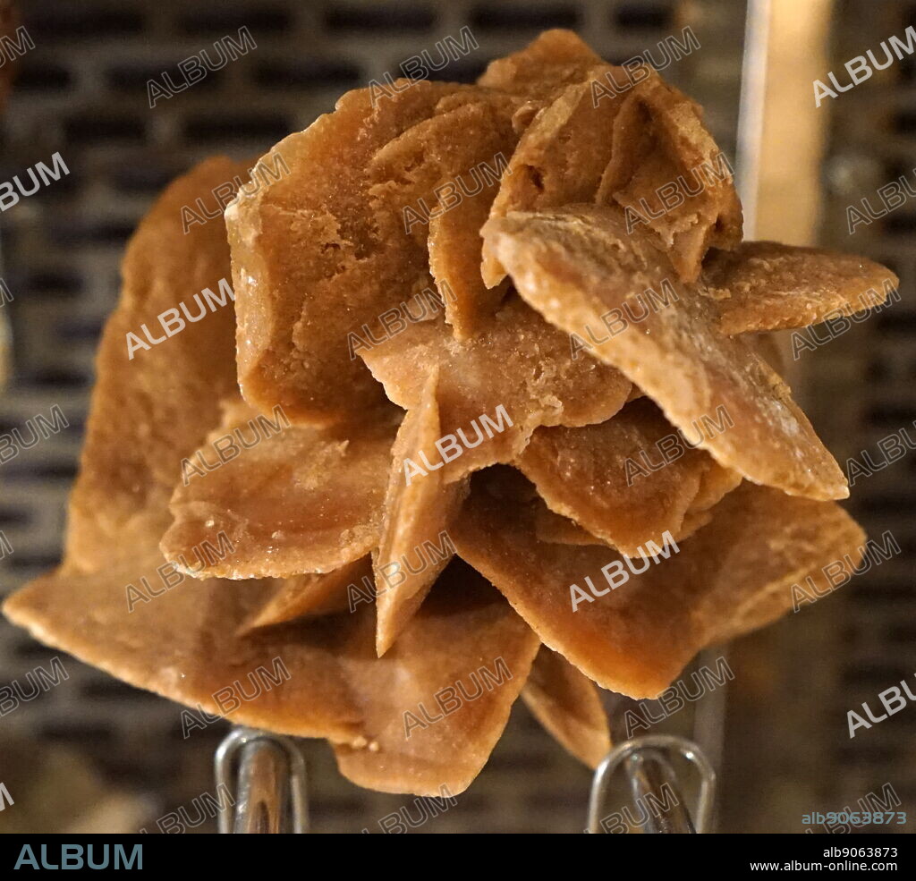 Desert rose is the colloquial name given to rose-like formations of crystal clusters of gypsum or baryte which include abundant sand grains. The 'petals' are crystals flattened on the c crystallographic axis, fanning open in radiating flattened crystal clusters.