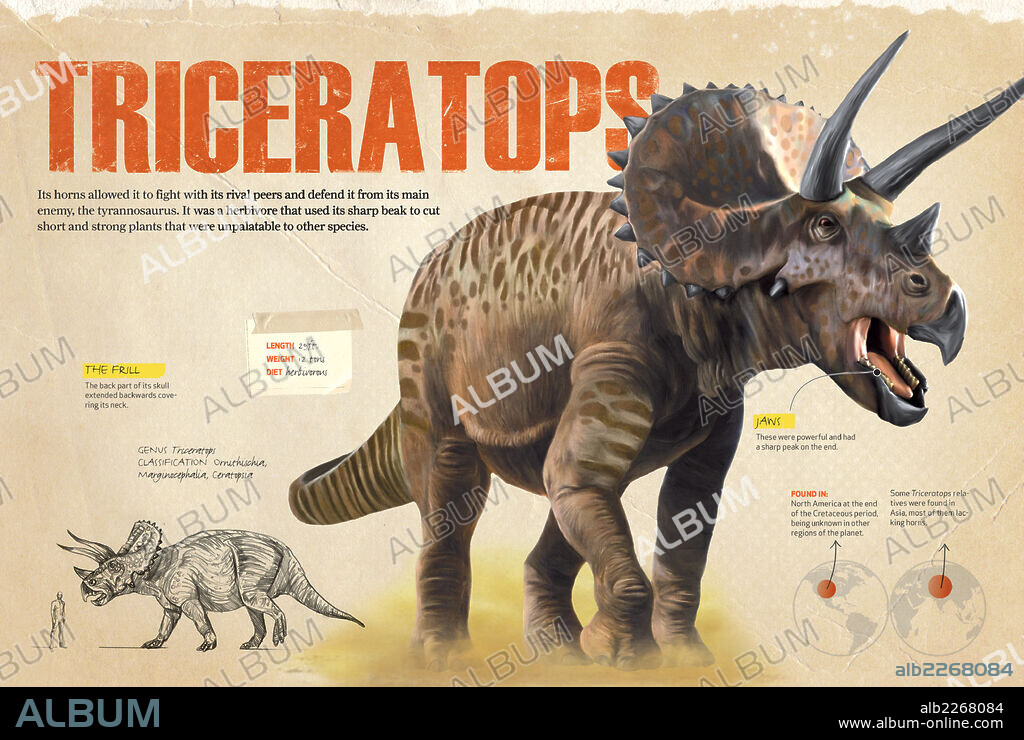 Triceratops. Infographics about Triceratops, a herbivorous dinosaur from the Cretaceous period of the Mesozoic era.