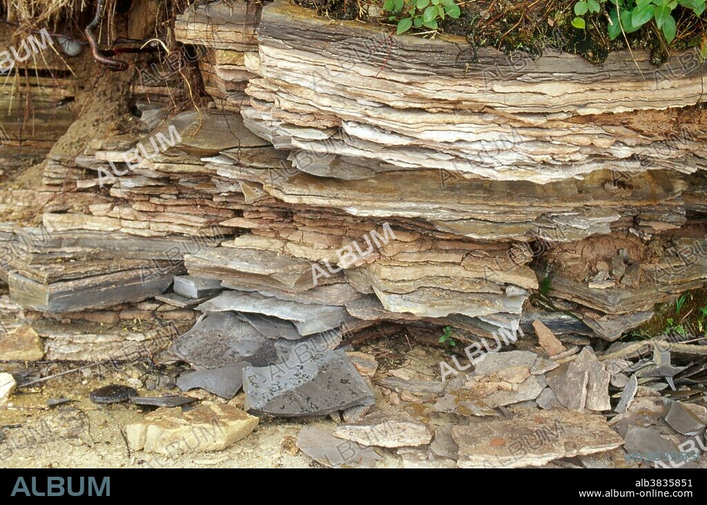 Layers of shale show evidence of ancient geological activity at Pictured Rocks National Lakeshore, Michigan.