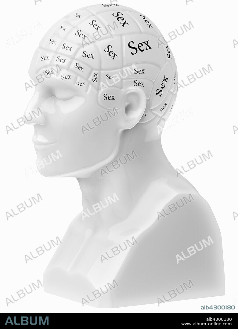 Sex” text covering brain on bust. - Album alb4300180