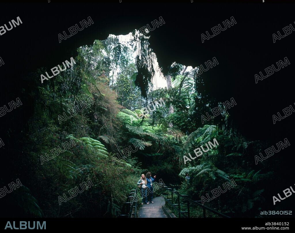 Thurston Lava Tube, Hawaii - Album alb3840152