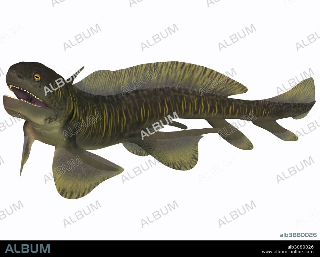 Orthacanthus was a Devonian freshwater shark that thrived in Carboniferous swamps and bayous in Europe and North America.