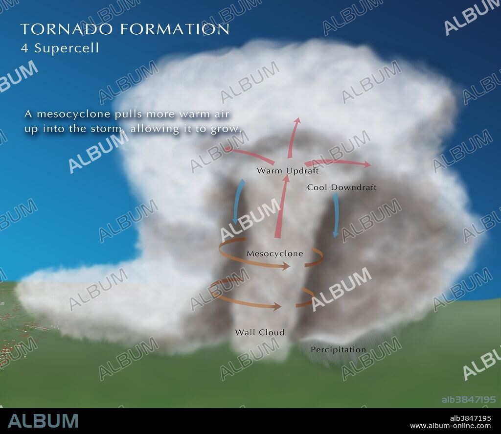 A sequence of illustrations depicting the formation of a tornado. (1) A wind shear forms; surface winds roll air into a horizontal tube. (2) Updraft; Sun warmed air lifts a section of the vortex vertically. (3) A storm forms; one side of the vortex becomes stronger and forms into a thunderstorm, while the other side dies. (4) Supercell; A mesocyclone pulls more warm air up into the storm, allowing it to grow. The spin then intensifies and a rotating column of air will break through the wall cloud and hit the ground. Image 4 of 4.