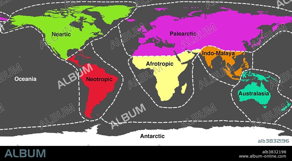 A world map showing the approximate 8 main ecozones of Earth. An ecozone is a region containing animal life that evolved together, separated from the other ecozones, for most of their history. The ecozones are: Palaearctic (purple, covering much of Eurasia); Nearctic (green, North America); Neotropic (red, South and Central America); Afrotropic (yellow, sub-Saharan Africa); Indomalaya (orange, covering South-East Asia and some equatorial Pacific islands); Australasia (blue, covering Australasia); Oceania (beige, the Pacific islands); and Antarctic (white).