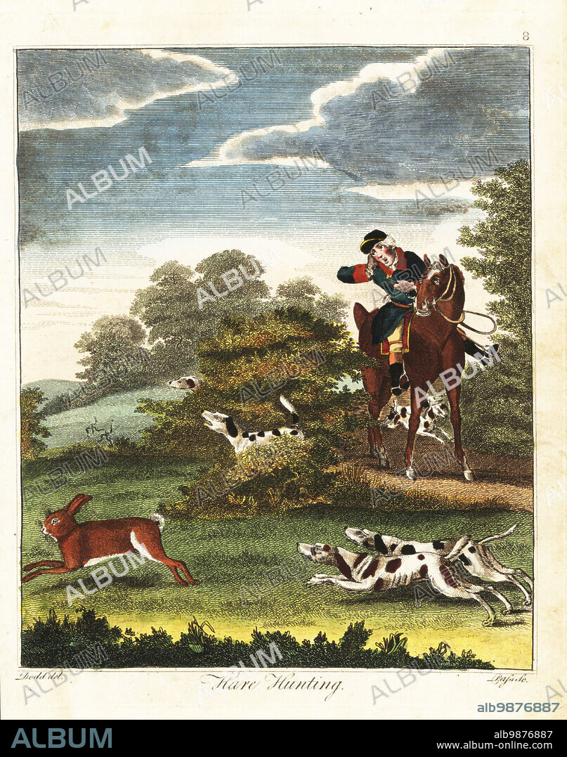 Hare hunting best sale with beagles