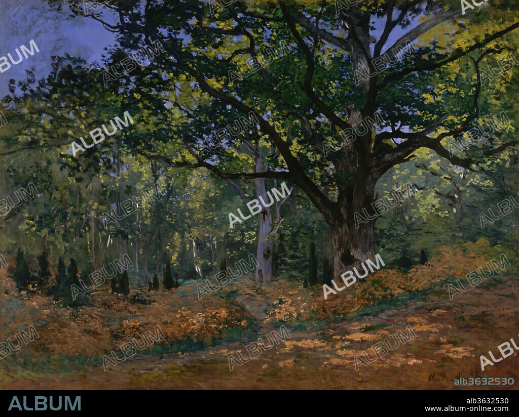 The Bodmer Oak, Fontainebleau Forest. Artist: Claude Monet (French, Paris 1840-1926 Giverny). Dimensions: 37 7/8 x 50 7/8 in. (96.2 x 129.2 cm). Date: 1865.

The Forest of Fontainebleau, south of Paris, became an artistic hot spot in the 1830s. One popular motif was the Bodmer Oak, named after Swiss artist Karl Bodmer (1809-1893), who exhibited a painting of the tree at the Salon of 1850. Monet used bright yellows, greens, and oranges to depict sunlight filtering through the canopy of branches. The carpet of russet leaves signals that he painted this view just before he concluded a months-long visit to Fontainebleau in October 1865. It is probably the last of several landscapes related to his monumental <i>Luncheon on the Grass</i> (1865-66; Musée d'Orsay, Paris), which is set in a sunny woodland glade.